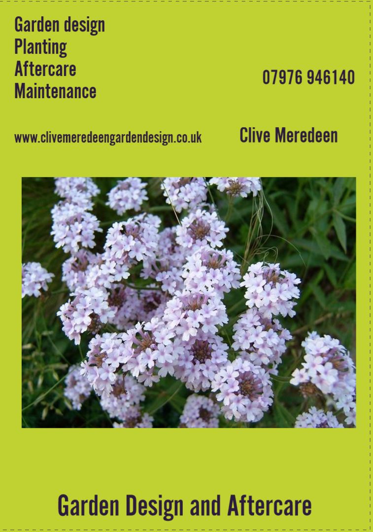 Clive Meredeen Garden Design and Aftercare