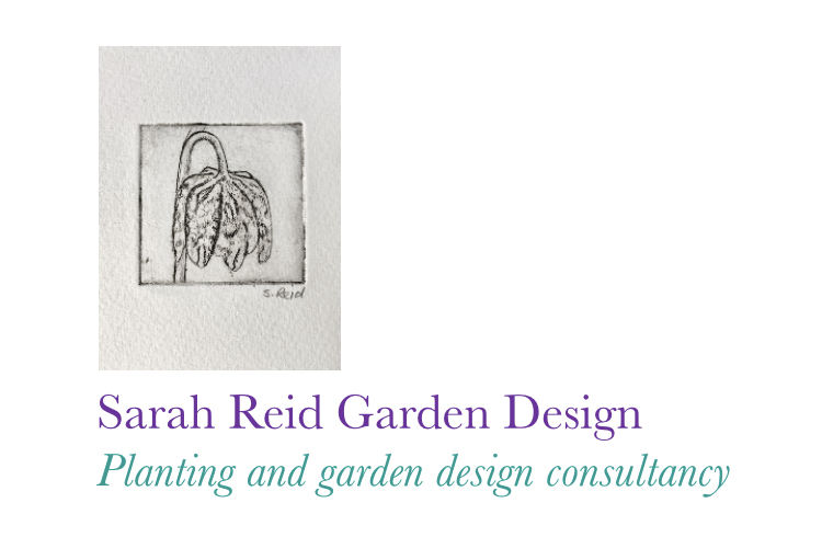 Sarah Reid Garden Design