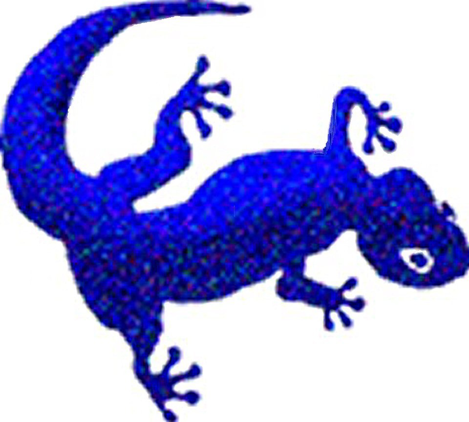The Blue Lizard Ltd